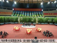 小龙武院的《太极少年》在浙江省第三届青少年学生阳光体育运动会